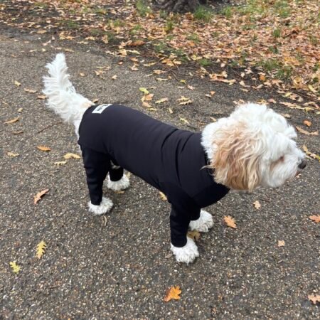 Poochi sporty black dog coat