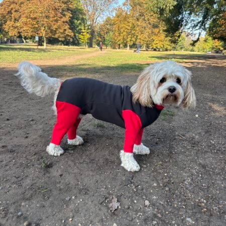 Red Dash Dog Coat - Stretchy fabric