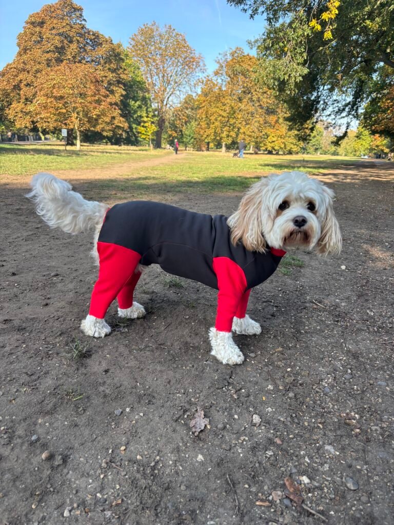 Red Dash Dog Coat - Stretchy fabric