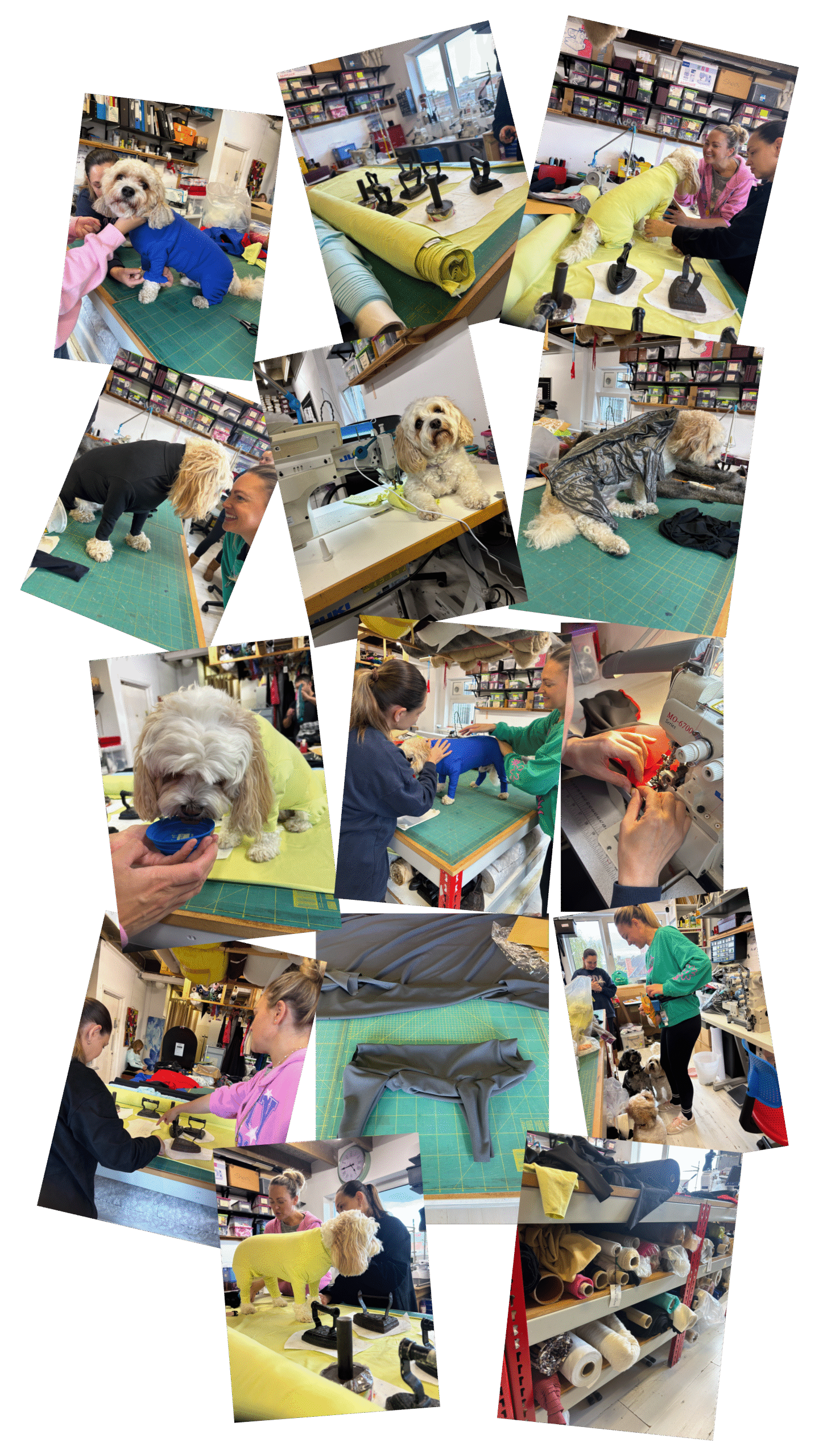 Poochi London About Us