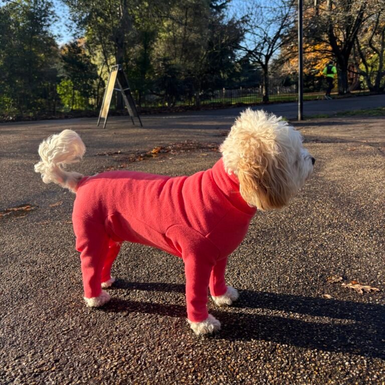 Coral Fleece Dog Coat