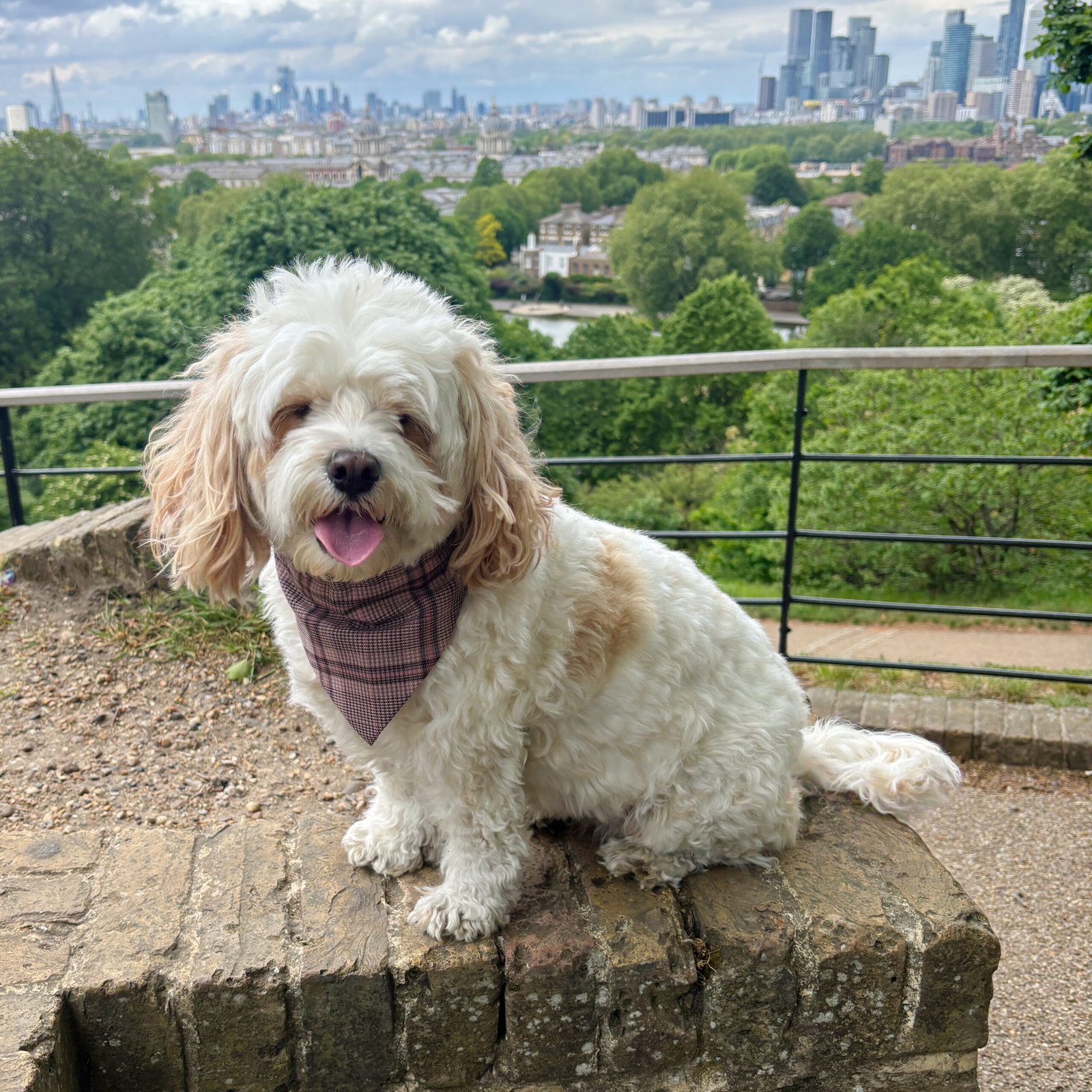 Pink Check Dog Bandana - Image 10